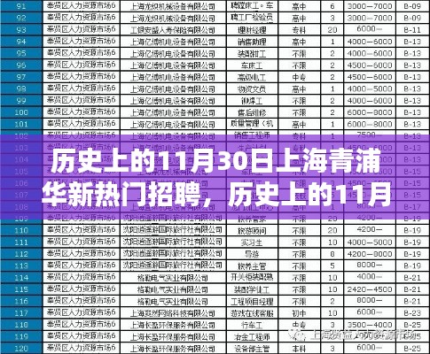 历史上的11月30日上海青浦华新招聘盛况回顾，热门职位与求职盛况一览