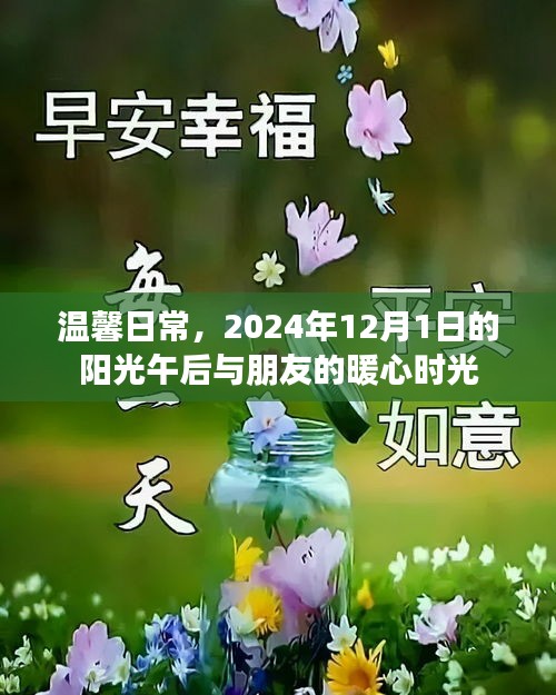 温馨日常，阳光午后与朋友的暖心时光（2024年12月1日）