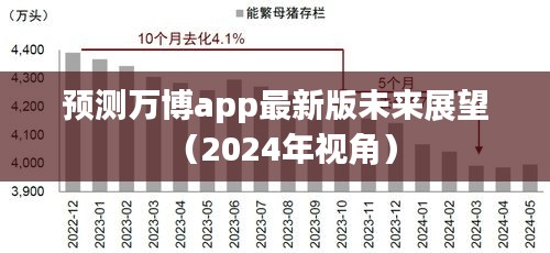 2024年视角下的万博app最新版未来展望