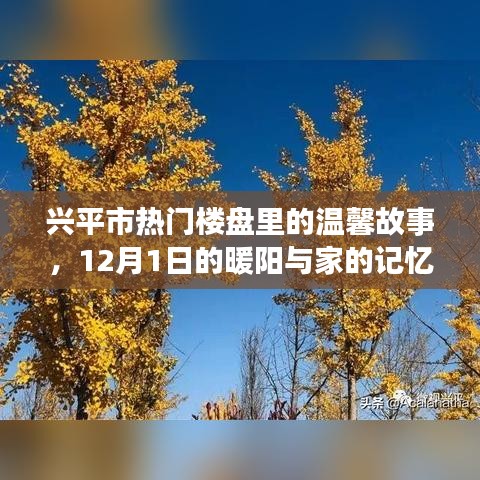 兴平市热门楼盘里的暖心故事，暖阳下的家园记忆，12月1日特别篇