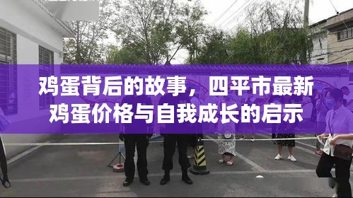 鸡蛋背后的故事，四平市价格启示与自我成长之路