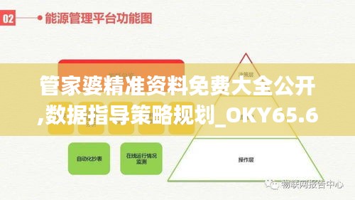 管家婆精准资料免费大全公开,数据指导策略规划_OKY65.683私人版