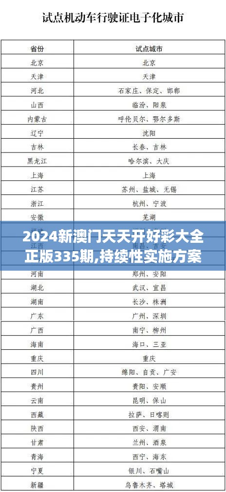 2024新澳门天天开好彩大全正版335期,持续性实施方案_OTW71.538智巧版