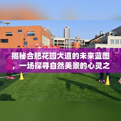 揭秘合肥花园大道未来蓝图，至2024年的自然美景心灵之旅展望