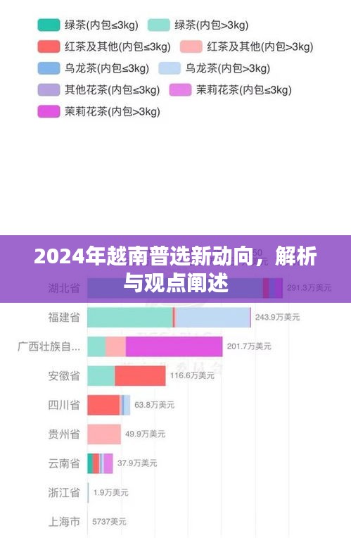 2024年越南普选新动向解析与观点阐述，未来趋势展望