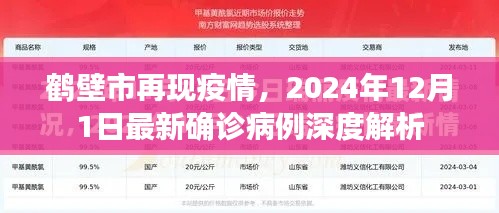 鹤壁再现疫情，最新确诊病例深度解析（截至2024年12月1日）