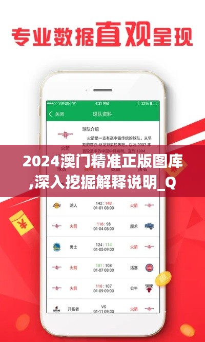 2024澳门精准正版图库,深入挖掘解释说明_QVV54.110程序版