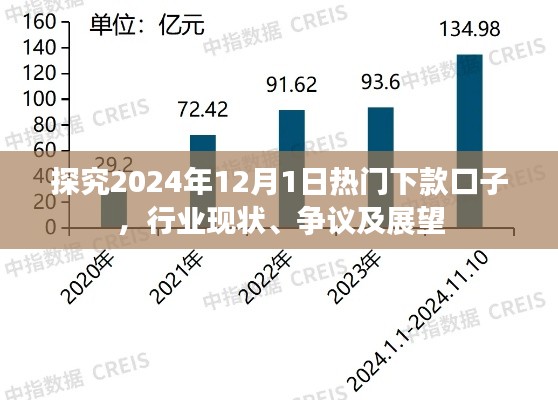 2024年热门下款口子行业现状、争议及展望，深度探究行业趋势