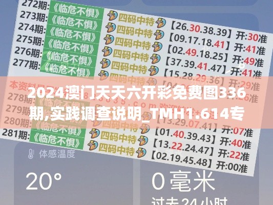 2024澳门天天六开彩免费图336期,实践调查说明_TMH1.614专属版