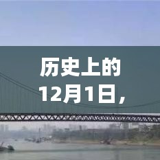 二塘大桥最新进展深度解析与行动指南——七月回顾与未来展望