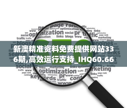 新澳精准资料免费提供网站336期,高效运行支持_IHQ60.664闪电版