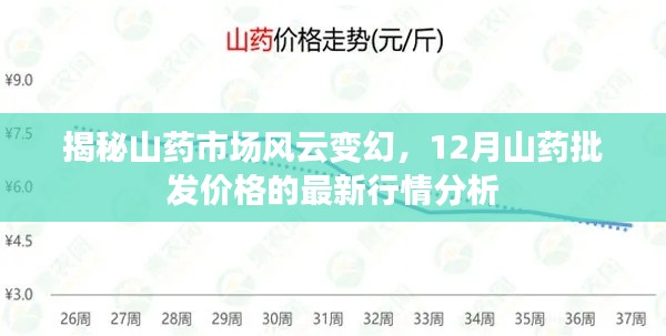 山药市场风云揭秘，最新批发价格行情分析（12月版）