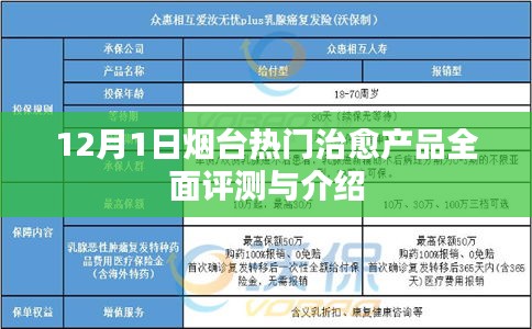 烟台治愈产品全面评测与介绍（12月1日）