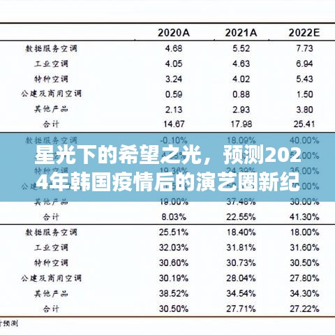 星光下的希望之光，韩国疫情后的演艺圈新纪元与成长之旅展望2024