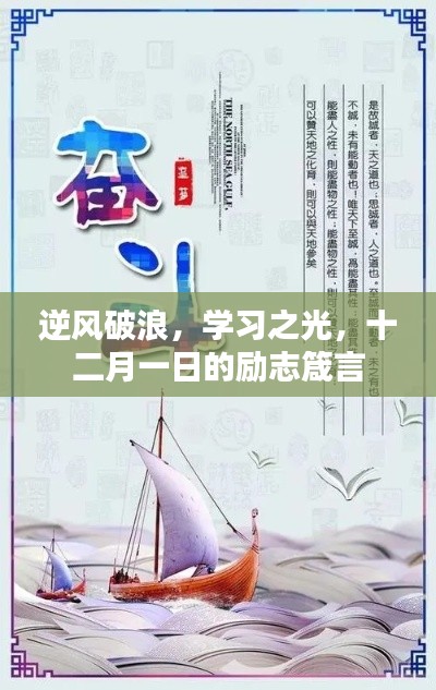 逆风破浪，学习之光，十二月一日的励志寄语