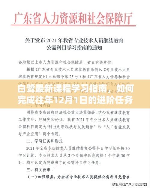 白鹭最新课程学习指南，完成往年进阶任务攻略——进阶任务详解之如何完成往年12月1日的任务