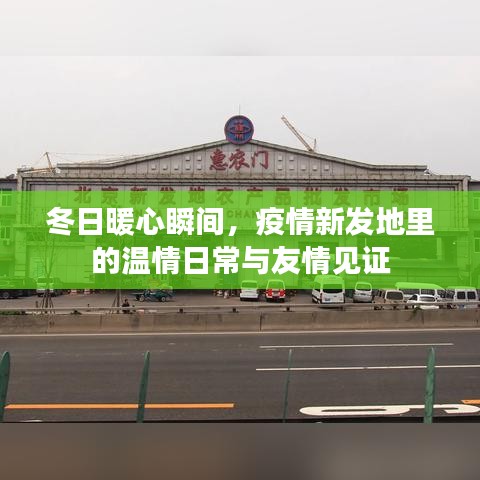 冬日温情瞬间，新发地里的友情见证与暖心日常