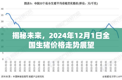 揭秘未来，全国生猪价格走势展望——2024年12月1日展望报告