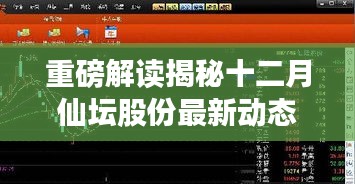 揭秘十二月仙坛股份最新动态，洞悉未来走势与重磅解读！