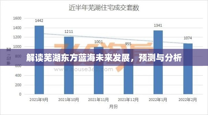 解读芜湖东方蓝海未来发展趋势与预测分析