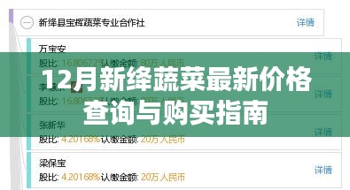 12月新绛蔬菜价格查询及购买指南