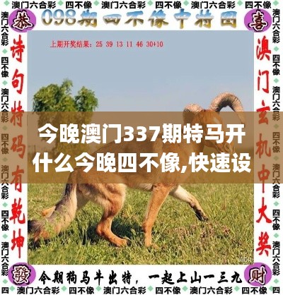 今晚澳门337期特马开什么今晚四不像,快速设计问题解析_U44.225-5