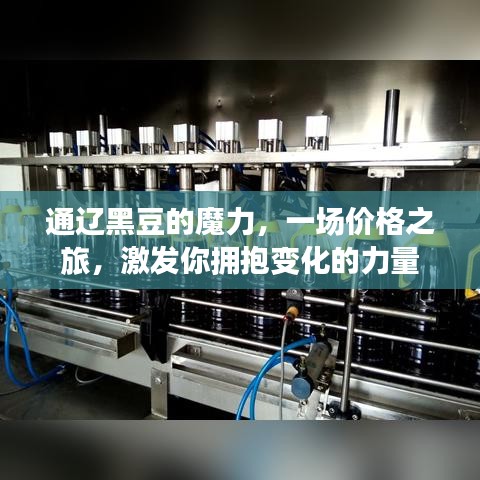 通辽黑豆的力量，探寻价格之旅，激发拥抱变化的力量