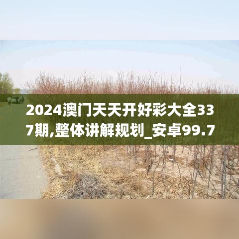 2024年12月2日 第15页