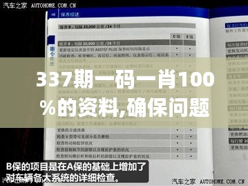 337期一码一肖100%的资料,确保问题解析_XR85.333-8