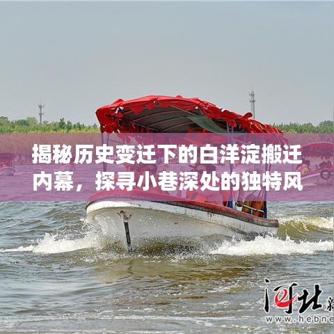 白洋淀搬迁内幕揭秘与小巷风情小店的探寻之旅