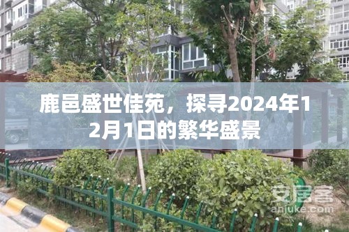 鹿邑盛世佳苑，探寻未来繁华盛景，预见美好未来——2024年12月1日纪实