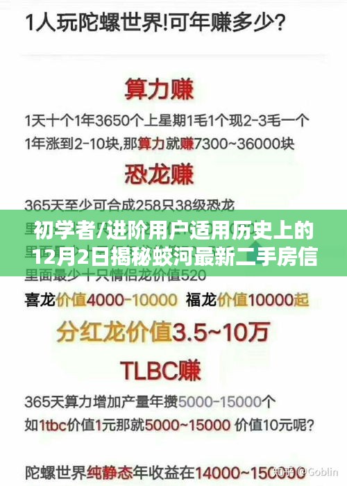 揭秘蛟河最新二手房信息获取全攻略，适合初学者与进阶用户的指南（12月2日版）