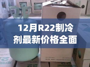 12月R22制冷剂最新价格全面解析与深度探讨