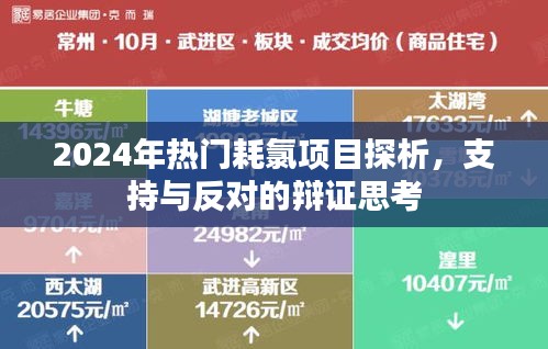 2024年热门耗氯项目探析，支持与反对的辩证思考