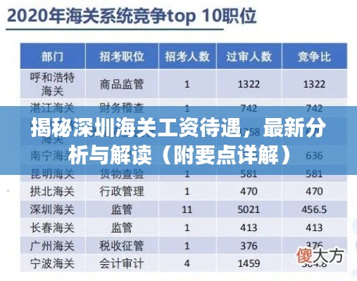 深圳海关工资待遇深度解析，最新分析与解读（附详解）