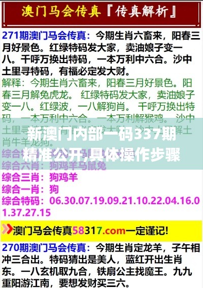 新澳门内部一码337期精准公开,具体操作步骤指导_策略版40.948-1