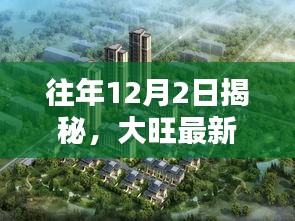 大旺最新楼盘全景解析揭秘日，12月2日全景一览