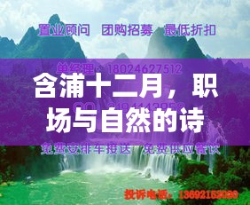 含浦十二月，职场与自然的诗意交融——启程追寻美景之旅