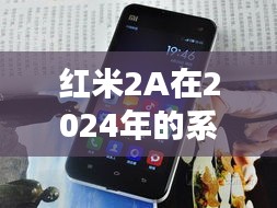 2024年12月3日 第31页