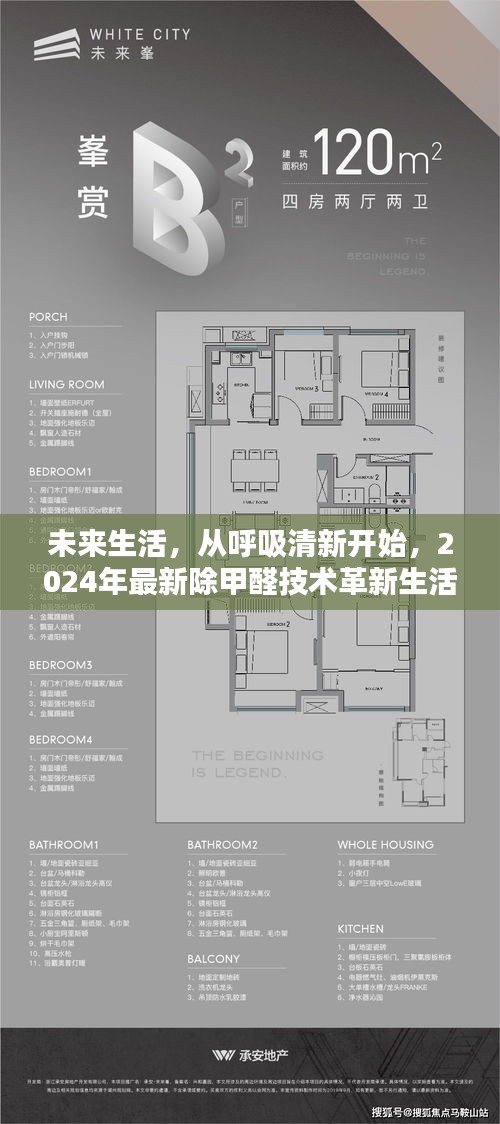 2024年最新除甲醛技术革新，呼吸清新开启未来生活品质提升