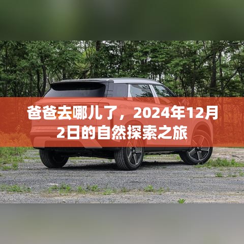 爸爸去哪儿了，2024年12月2日自然探索之旅启程