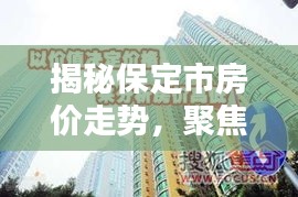 保定市房价走势揭秘，聚焦2024年12月热门信息解读