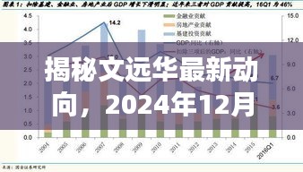 揭秘文远华最新动向，未来展望至2024年12月2日展望报告揭晓！