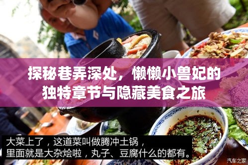 懒兽妃的独特章节与巷弄深处的隐藏美食之旅