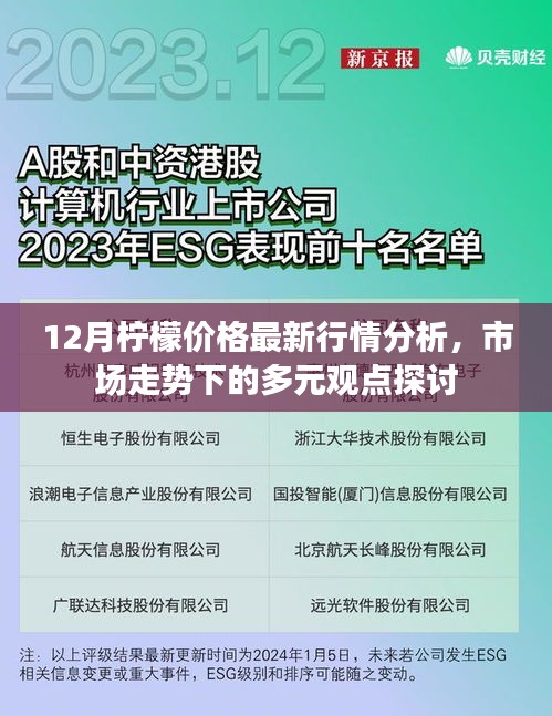 12月柠檬市场最新行情分析与多元观点探讨