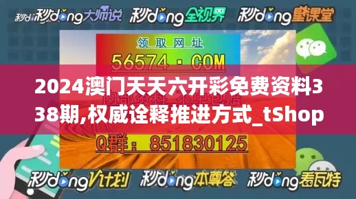 2024澳门天天六开彩免费资料338期,权威诠释推进方式_tShop92.294-4