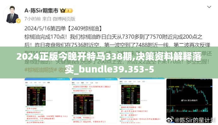 2024正版今晚开特马338期,决策资料解释落实_bundle39.353-5