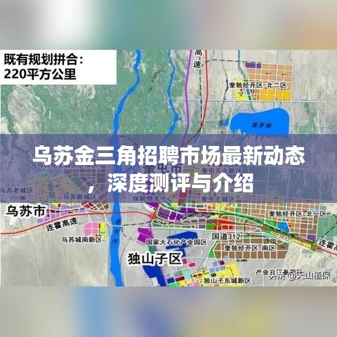 乌苏金三角招聘市场最新动态深度解析与介绍