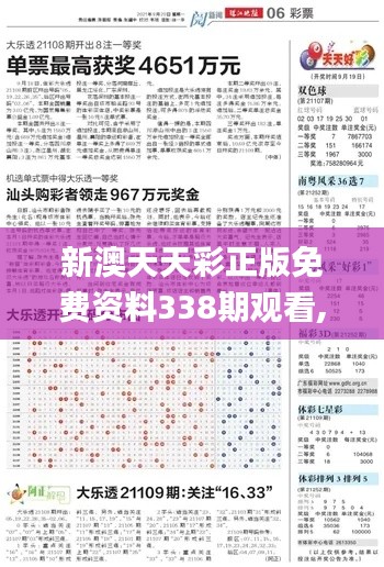 新澳天天彩正版免费资料338期观看,统计分析解释定义_GM版71.620-2