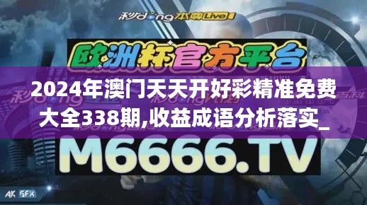 2024年澳门天天开好彩精准免费大全338期,收益成语分析落实_T62.216-6